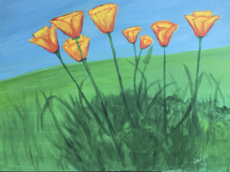 California Poppies